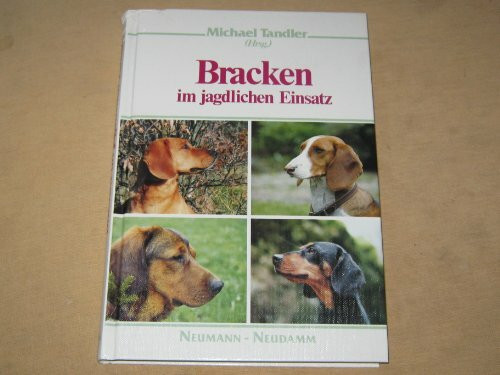 Bracken im jagdlichen Einsatz
