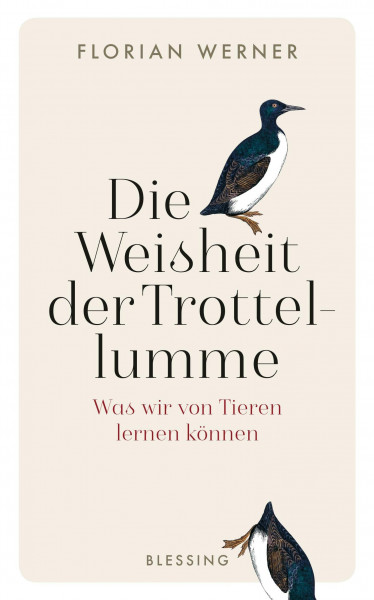 Die Weisheit der Trottellumme: Was wir von Tieren lernen können