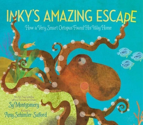 Inky's Amazing Escape: How a Very Smart Octopus Found His Way Home