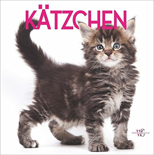 Das Katzenbuch: Kätzchen - 380 liebenswerte Fotos von kleinen Kätzchen und Katzenbabys. Mit Vorstellung der wichtigsten Katzenrassen und kleinem Katzenratgeber