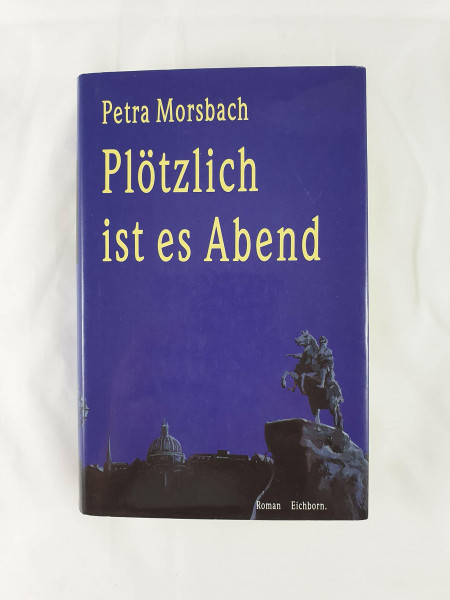 Plötzlich ist es Abend: Roman