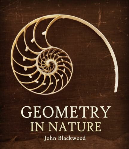 Geometry in Nature: Exploring the Morphology of the Natural World Through Projective Geometry