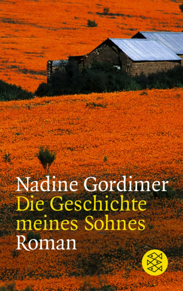 Die Geschichte meines Sohnes: Roman (Fischer Taschenbücher)