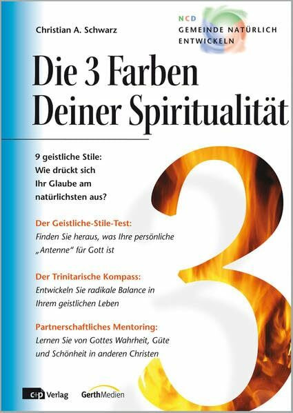 Die 3 Farben Deiner Spiritualität: 9 geistliche Stile: Wie drückt sich Ihr Glaube am natürlichsten aus? (Kirche für morgen)