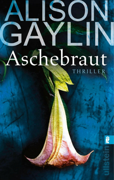 Aschebraut: Thriller (Ein Brenna-Spector-Krimi, Band 2)