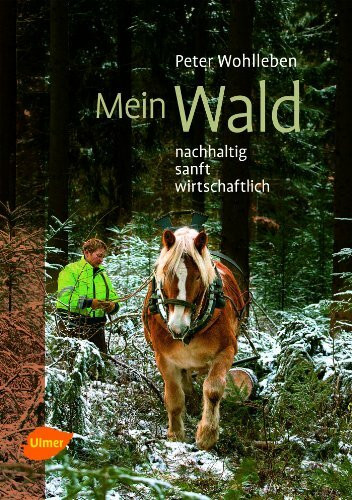 Mein Wald: Nachhaltig, sanft, wirtschaftlich