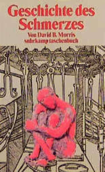 Geschichte des Schmerzes (Suhrkamp Taschenbücher)
