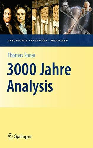 3000 Jahre Analysis: Geschichte, Kulturen, Menschen (Vom Zählstein zum Computer)