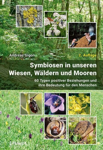 Symbiosen in unseren Wiesen, Wäldern und Mooren: 60 Typen positiver Beziehungen und ihre Bedeutung für den Menschen