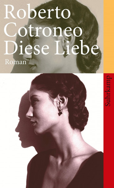 Diese Liebe: Roman (suhrkamp taschenbuch)