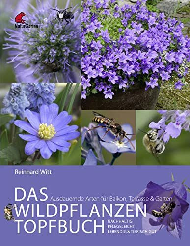 Das Wildpflanzen Topfbuch. Ausdauernde Arten für Balkon, Terrasse und Garten. Lebendig, pflegeleicht, nachhaltig