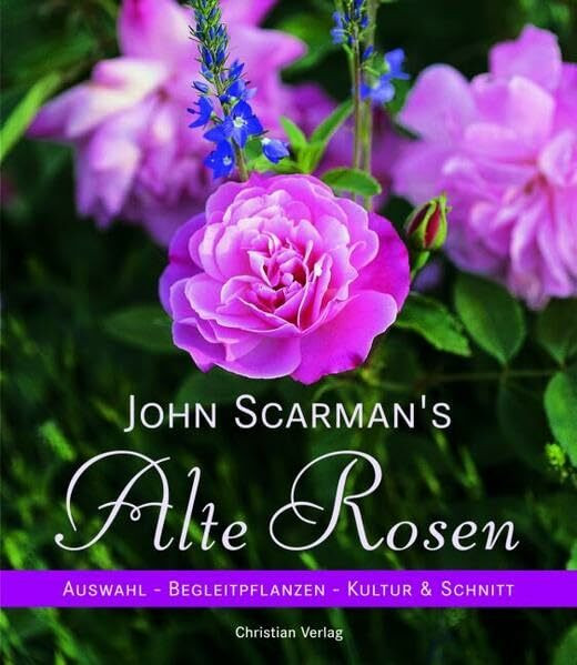 John Scarman's Alte Rosen: Auswahl - Begleitpflanzen - Kultur & Schnitt