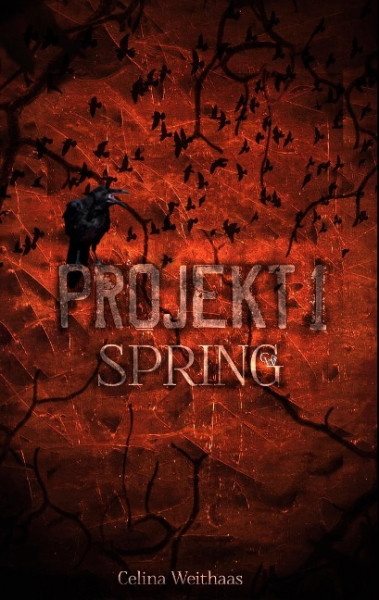 Projekt I