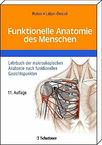 Funktionelle Anatomie des Menschen: Lehrbuch der makroskopischen Anatomie nach funktionellen Gesichtspunkten
