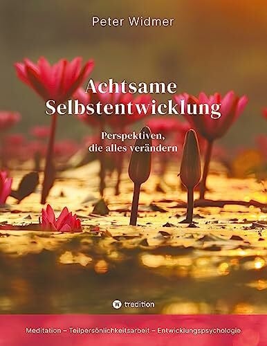 Achtsame Selbstentwicklung: Perspektiven, die alles verändern - innere Ressourcen aufbauen, um durch die herausfordernde Zeit zu navigieren in der wir heute leben