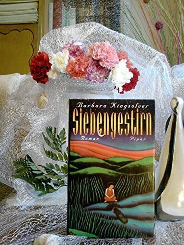 Siebengestirn: Roman
