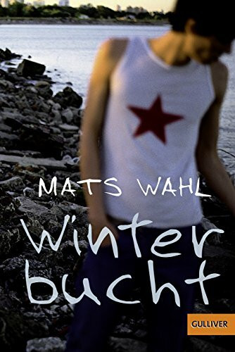 Winterbucht: Roman