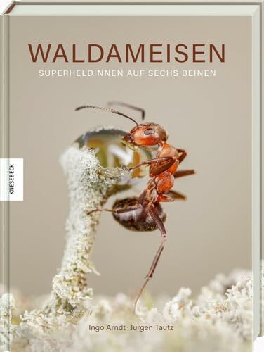 Waldameisen: Superheldinnen auf sechs Beinen. Naturfotografie-Bildband mit einmaligen Einblicken in das Leben der Insekten