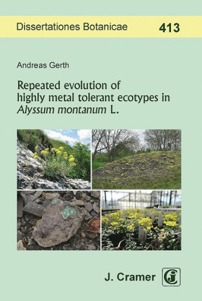 Repeated evolution of highly metal tolerant ecotypes in Alyssum montanum L.