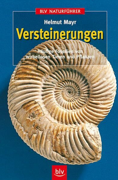 Versteinerungen: Häufige Fossilien von wirbellosen Tieren und Pflanzen (BLV Naturführer)