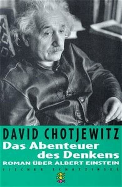 Das Abenteuer des Denkens: Roman über Albert Einstein (Fischer Schatzinsel)