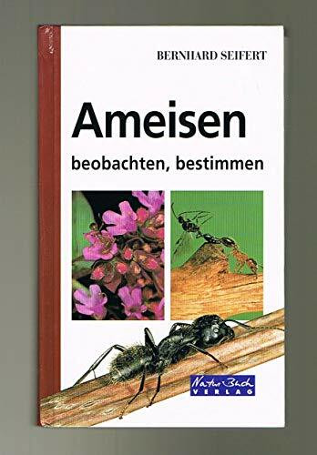Ameisen