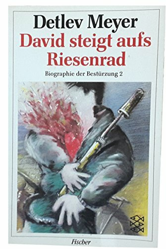 David steigt aufs Riesenrad: Biographie der Bestürzung 2. Band