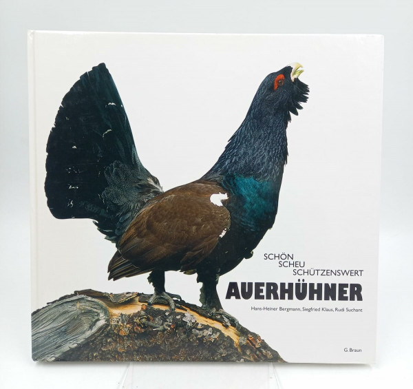 Auerhühner: Schön, scheu, schützenswert
