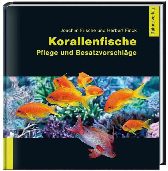 Korallenfische: Pflege und Besatzvorschläge