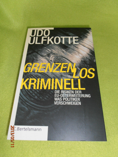 Grenzenlos kriminell: Warum Politiker die Risiken der Osterweiterung verschweigern