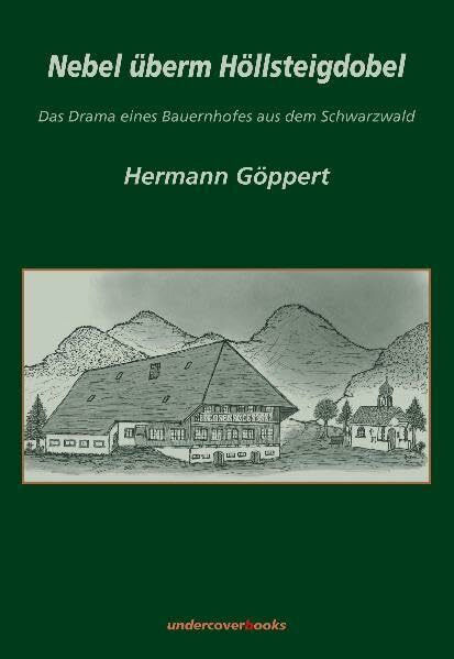 Nebel überm Höllsteigdobel
