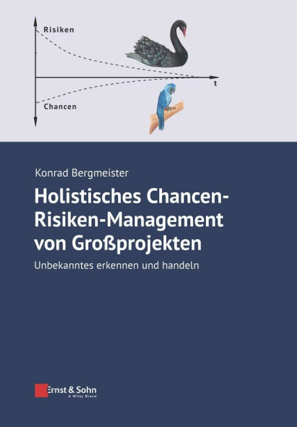 Holistisches Chancen-Risiken-Management von Großprojekten: Unbekanntes erkennen und handeln