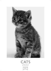 Cats 2022 - Format L