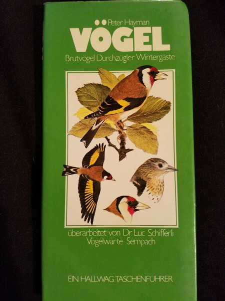 Vögel: Brutvögel - Durchzügler - Wintergäste