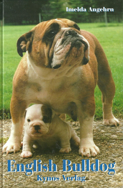 English Bulldog (Das Hundeportrait)