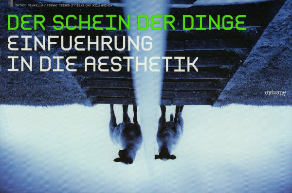 Der Schein der Dinge: Einführung in die Ästhetik