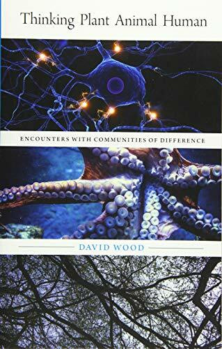 Thinking Plant Animal Human: Encounters With Communities of Difference: Encounters with Communities of Difference Volume 56 (Posthumanities, Band 56)