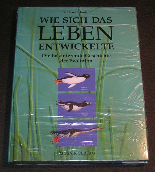 Wie sich das Leben entwickelte: Die faszinierende Geschichte der Evolution