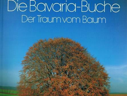 Die Bavaria-Buche. Ein Naturerlebnis