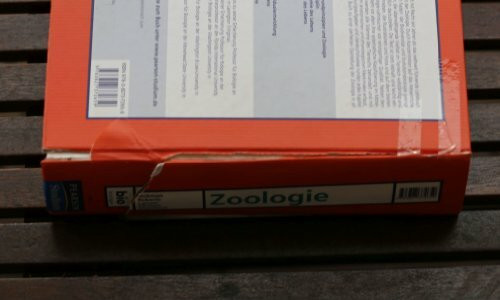 Zoologie (Pearson Studium - Biologie)