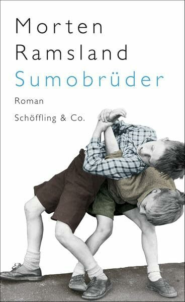 Sumobrüder: Roman