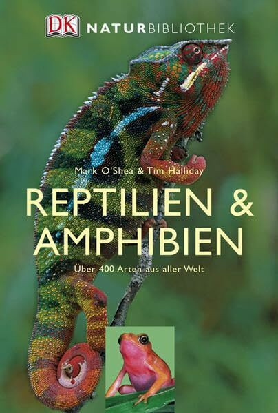 Reptilien und Amphibien