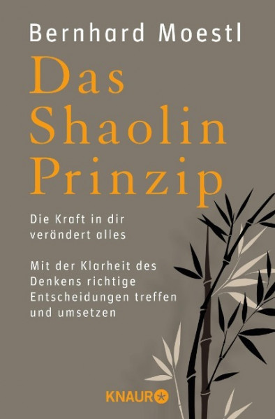 Das Shaolin-Prinzip