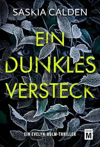 Ein dunkles Versteck (Ein Evelyn-Holm-Thriller, Band 4)