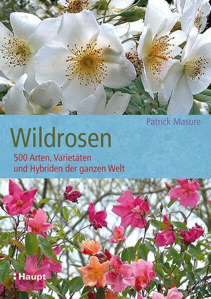 Wildrosen: 500 Arten, Varietäten und Hybriden der ganzen Welt