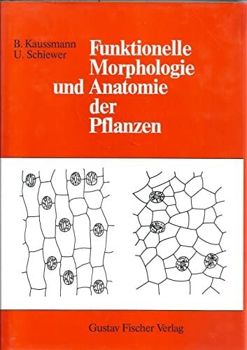 Funktionelle Morphologie und Anatomie der Pflanzen Funktionelle Morphologie und Anatomie der Pflanzen