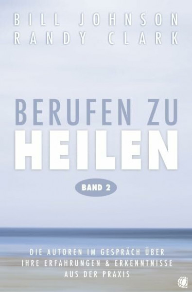 Berufen zu heilen, Band 2: Die Autoren im Gespräch über ihre Erfahrungen und Erkenntnisse aus der Praxis