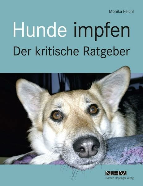 Hunde impfen: Der kritische Ratgeber