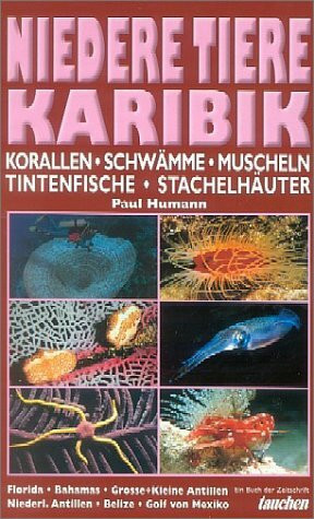 Niedere Tiere Karibik