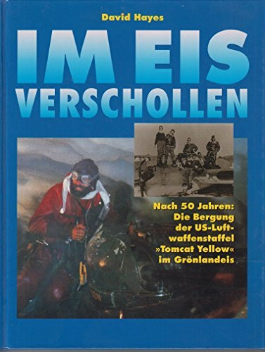 Im Eis verschollen. Nach 50 Jahren: Die Bergung der US-Luftwaffenstaffel Tomcat Yellow im Grönlandeis